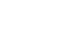 White Logo